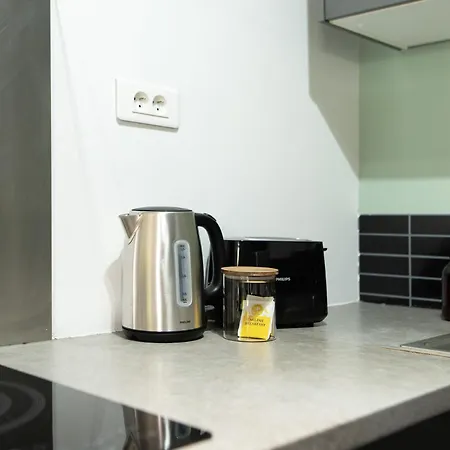 With Terrace, Ac - Climatisation- Parking- Blagnac, 5min Airport & Airbus Blagnac