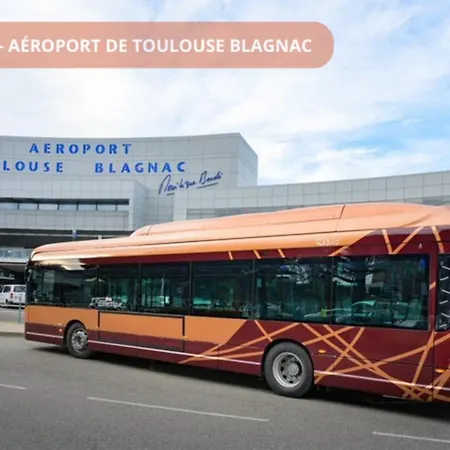 With Terrace, Ac - Climatisation- Parking- Blagnac, 5min Airport & Airbus Blagnac